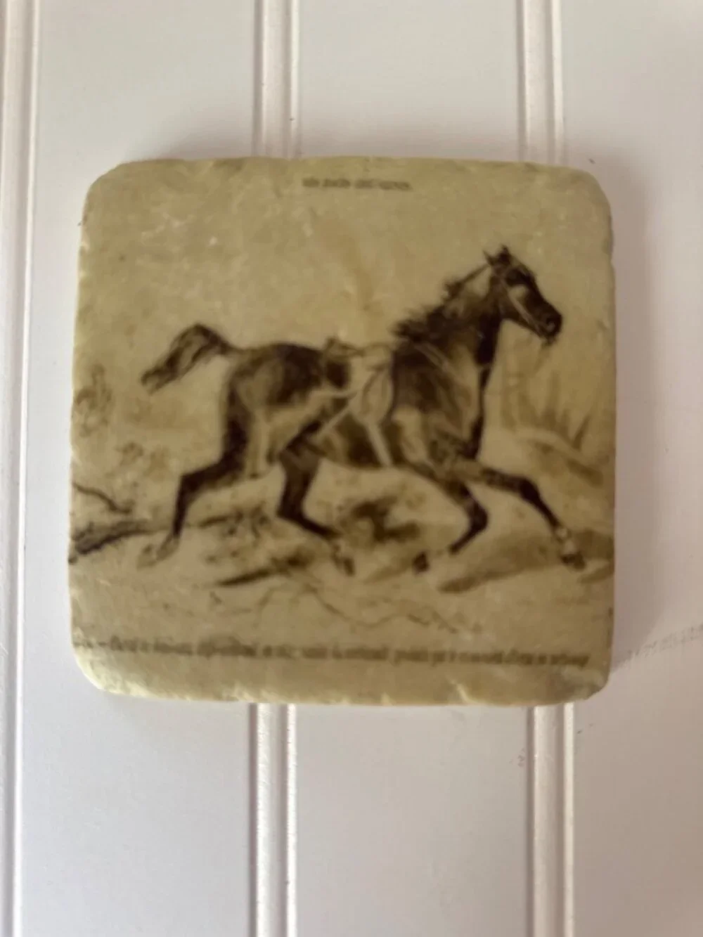 Tumbled Stone Horse Equestrian Coaster Set Cork Backings Rustic Beige Western